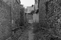 Alley - Seaweed House