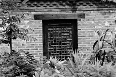 Windows - Seaweed House