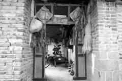 Screen - Seaweed House