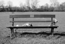 Memorial Benches 纪念长椅